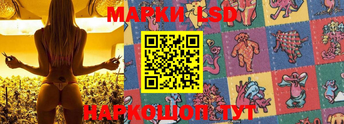 Вятские Поляны  Наркотические марки 1,8мг  Вход с VPN 