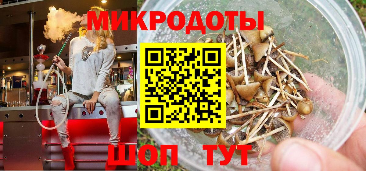Вятские Поляны  Галлюциногенные грибы мухоморы  Вход с VPN 